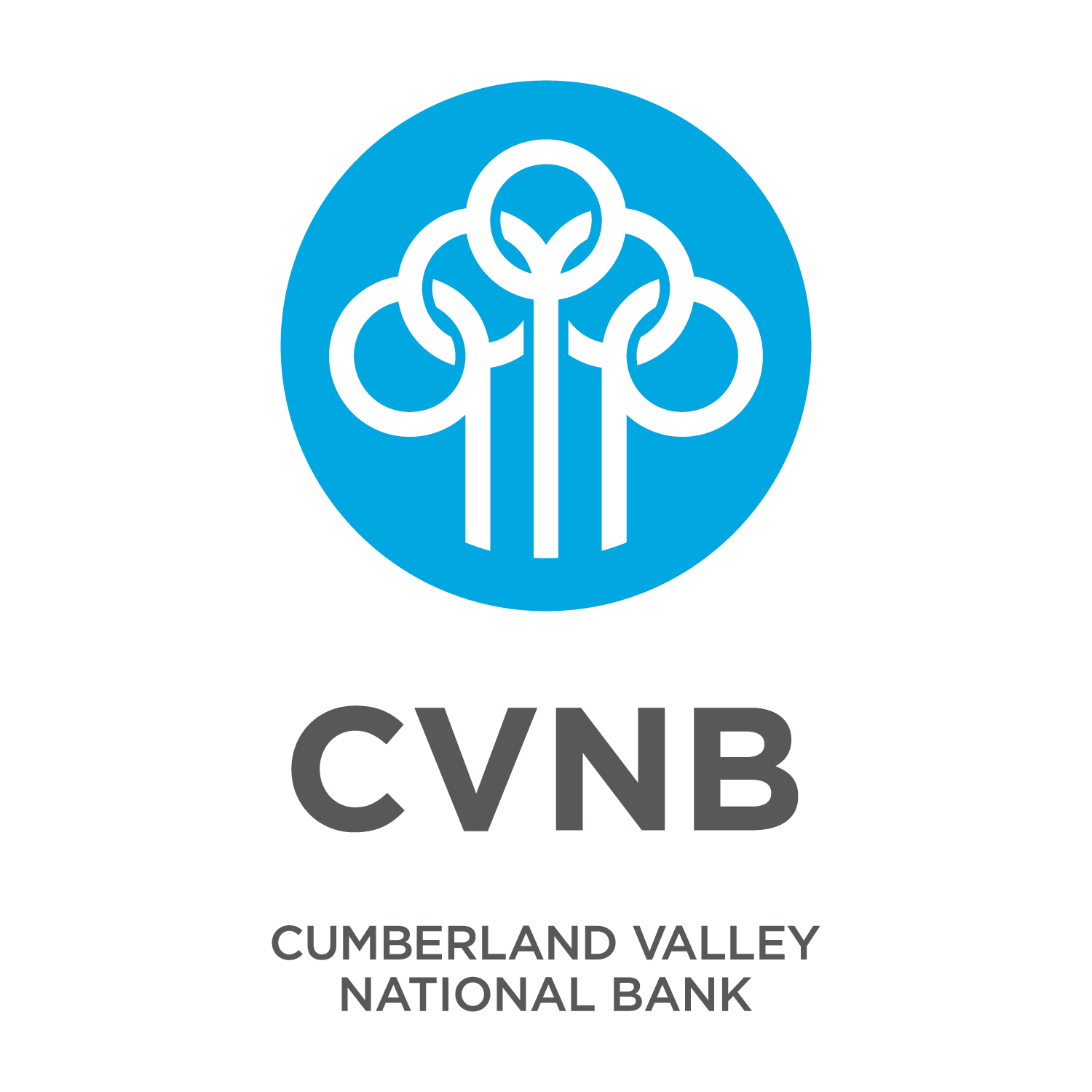 Cumberland Valley National Bank 